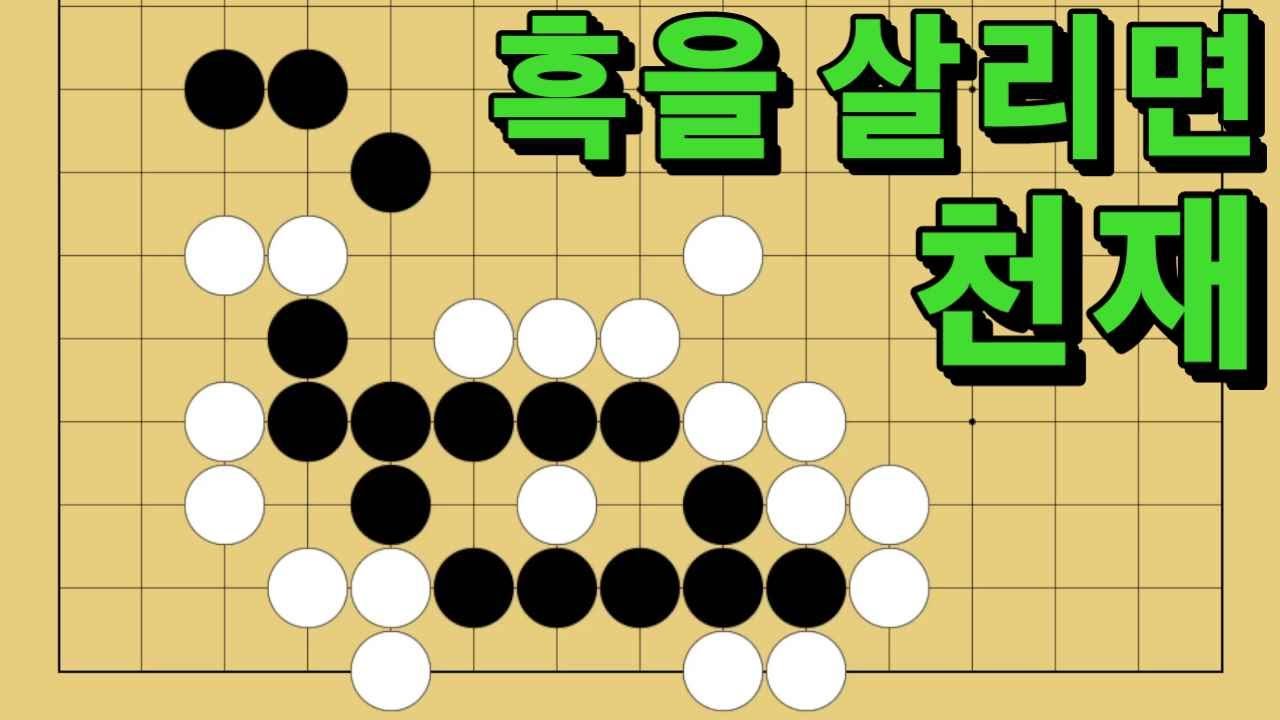 바둑 묘수 사활 - 낭떠러지를 걷는 묘수가 있습니다. 흑을 살려보세요.