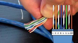 how to make an ethernet cable! - fd500r - $24 crimp tool demonstration