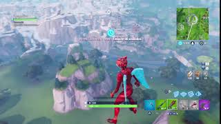 Fortnite bug