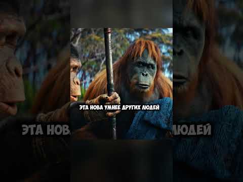 Говорящий человек! 😱 / Планета обезьян: Новое царство #films #shorts