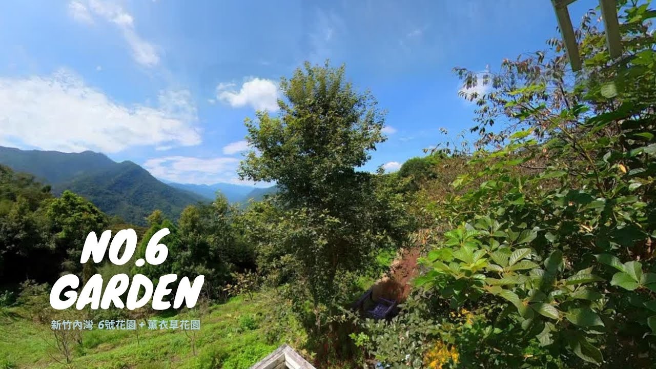 新竹尖石-6號花園+薰衣草森林