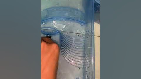 Rùa cổ rắn kinh dị hà nội pet shop