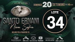 34 - LEILÃO VIRTUAL SANTO ERNANI NOVA SAFRA - 20/09/2026