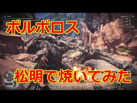 Mhw 噂の松明弾を使ってみたら強すぎた Youtube