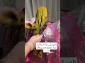 نتيجة ولا غلطه حناء رغد