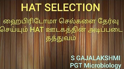 HAT Selection ( principle behind hybridoma selection )- Explanation in English