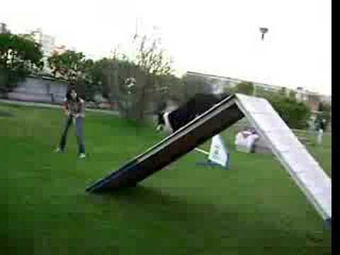 camera iphone 8 plus apk Pucara - Entrenamiento de Agility