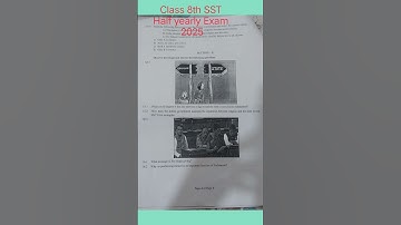 Class 8th | Social Science |  Half Yearly Exam 2025 #class8sst #ncert #exam #questionpaper #shorts