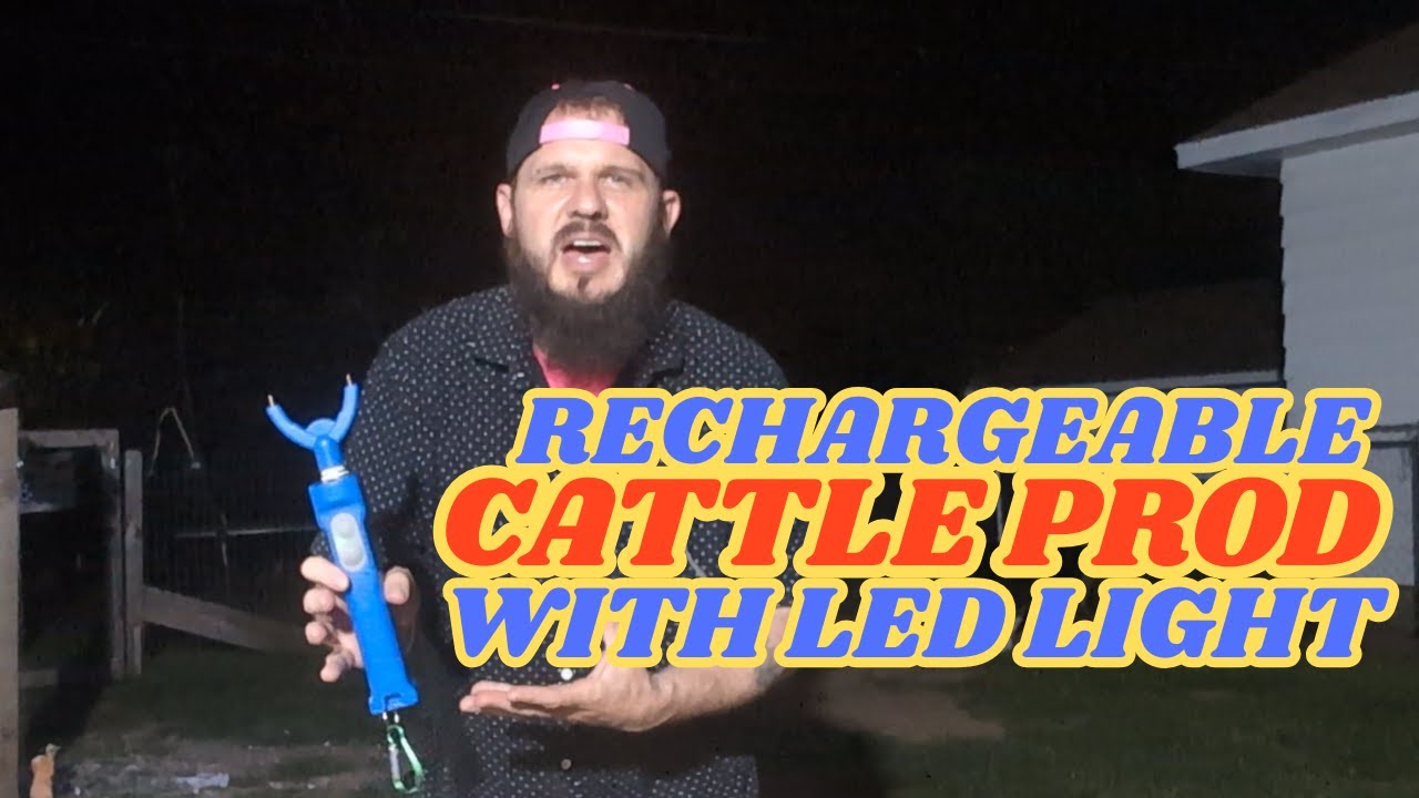 Cattle Prod For Self Defense?