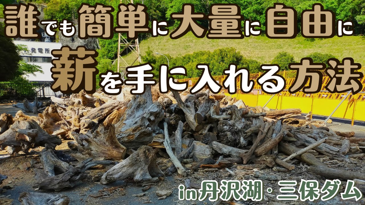 【ハマ流木】 Amazon.co.jp: 【1～3日以内 発送】空洞型バニヤン盆栽流木ADA 流木