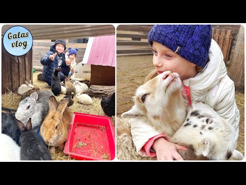 Video: Contact dierentuin in Saratov