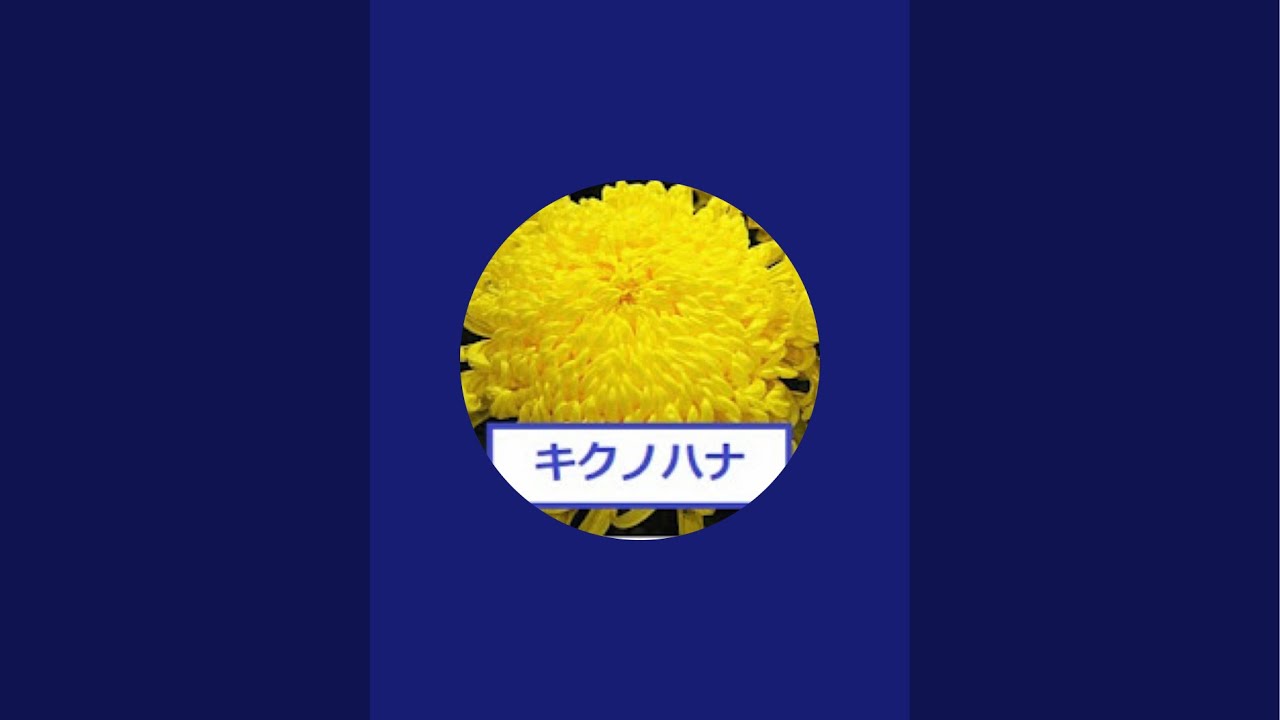 厚生労働省パレードワクチンデモ