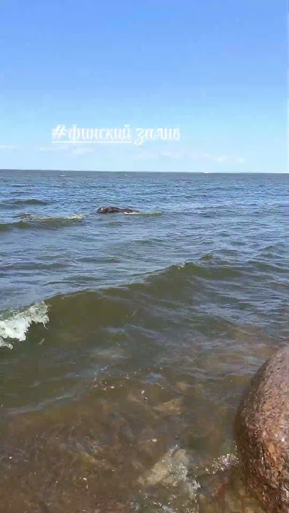 финский залив - YouTube