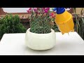 Great idea  Make vase  from balloons  with cement