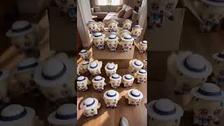I ORDERED ONE PHOEBE-CHUBI... I GOT A WHOLE ARMY! 📦😱 | Wuthering Waves