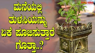 ತುಳಸಿ ಗಿಡವನ್ನು ಮನೆಯಲ್ಲಿ ಪೂಜಿಸುವುದರಿಂದ ಏನೆಲ್ಲಾ ಲಾಭಗಳಿವೆ ಗೊತ್ತಾ.? | Benefits of worshiping Tulsi plant