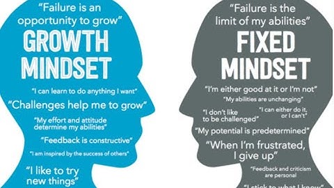 "Mindset" by Carol S Dweck - Book Recommendations  - 1|| Power of Mindset || Mindset of a Winner