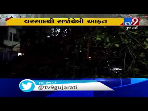 Gujarat Rains: 5 injured in tree collapse incidents in different parts of Ahmedabad | Tv9News