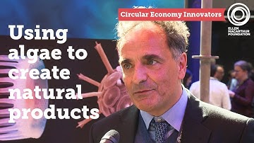 Using algae to create natural products | Brilliant Planet | Circular Economy Innovators