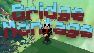 Bridge Montage #8