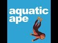 Aquatic ape