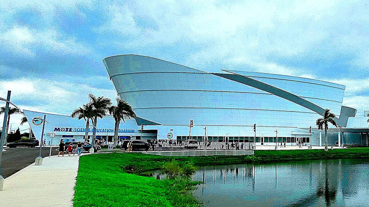 Аквариум New Mote в Сарасоте, Флорида