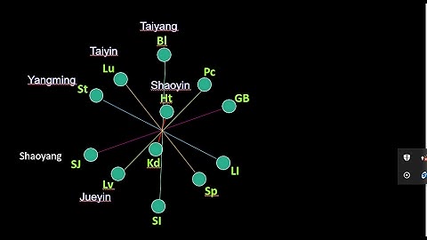 6-element acupuncture: The 6 Divisions & the Spherical Meridian Flow