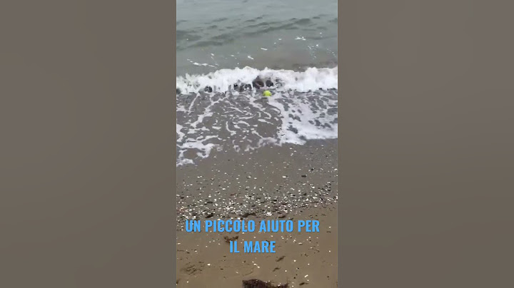 SE VEDI UNA PALLINA NEL MARE COSA FAI ? #short #shortvideo  #ambiente #ambient