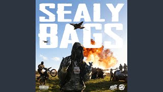 Sealy Bags - Meekz