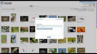 Create a new lightbox and add photos or vectors to it screenshot 4