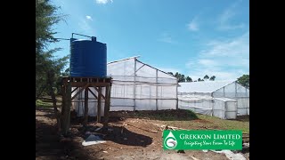 Steps in Wooden Greenhouse Construction in Kenya  Greenhouse Farming in Kenya  GREKKON LIMITED