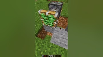 Double Block Swapper In Minecraft #shorts #viral