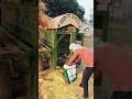 गेहूं की मड़ाई या गेहूं की गहाई/कटी हुई गेहूं की फसल से दाने (grain) को अलग करने की प्रक्रिया।#viral