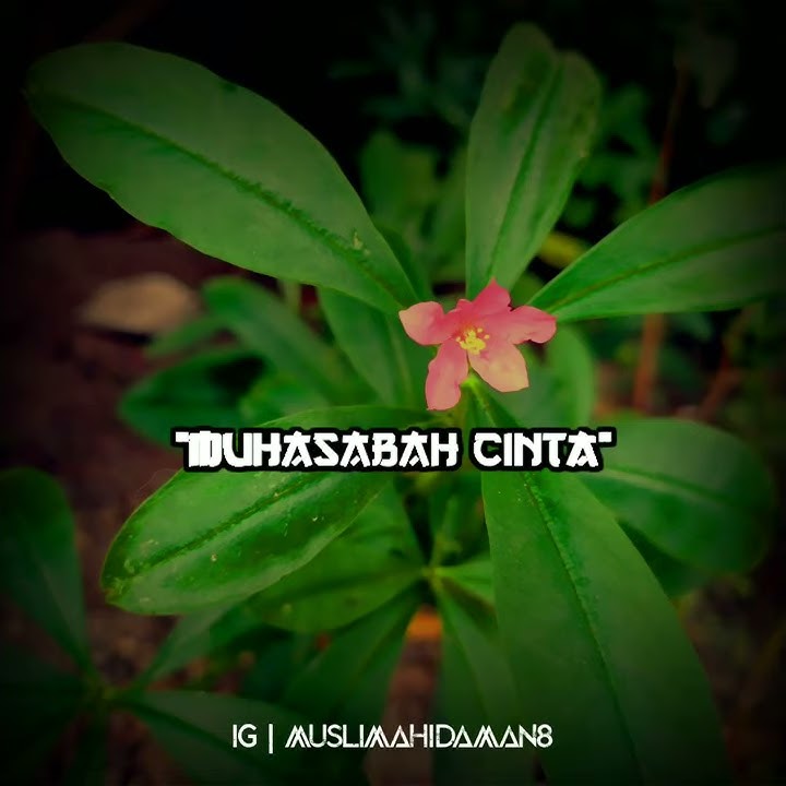 Muhasabah Cinta | literasi | story wa | video 30 detik