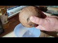Come aprire una noce di cocco.