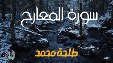 سورة المعارج للقارئ طلحة محمد | Dalha Mohamed Surah Al-Ma'arij