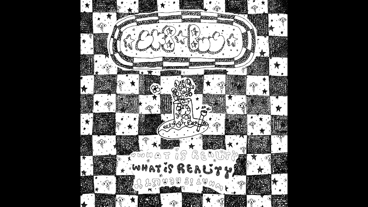 SK8BUS - What is Reality