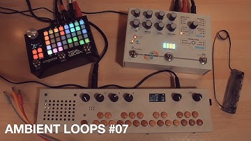 Ambient loops #07 ∞ Organelle M + Hologram Microcosm + Empress ZOIA