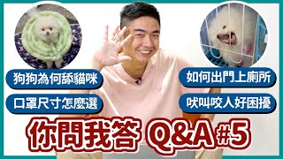 【問答Q&A#5】狗狗為何舔貓咪口罩尺寸怎麼選如何出門上廁所吠叫咬人好困擾Dog Questions & Answers #5熊爸估狗