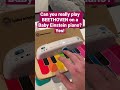 Can You Really Play BEETHOVEN on a Baby Einstein Piano with 8 keys?