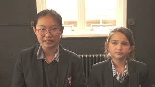 What makes The Holt Special