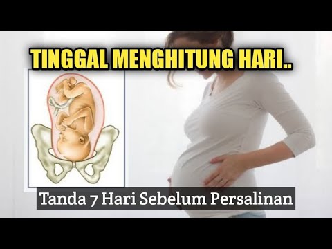 INI TANDA IBU HAMIL AKAN MELAHIRKAN DALAM 7 HARI..