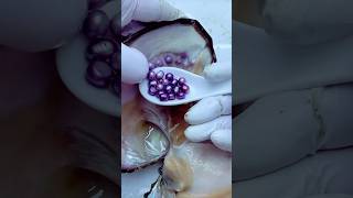 Download Lagu “8-Year Cultivated Mystic Purple Pearls | Pilx’s Finest Freshwater Natural Pearls Collection!” MP3