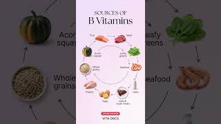 Top Food Sources of B Vitamins You Should Eat More Often | Vita Docs