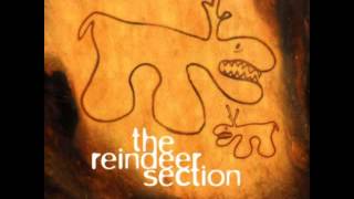 Video thumbnail of "The Reindeer Section - Your Sweet Voice"