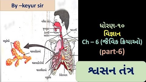 શ્વસન તંત્ર (જૈવિક ક્રિયાઓ part-6) II Std -10 II science ll ch-6 II shvasan tantra