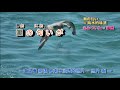 あばれ海峡 字義版