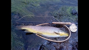 Basic Rod Building Part 7 with Jim Misiura