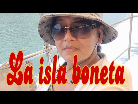 ISLAND ADVENTURE [ Part One]