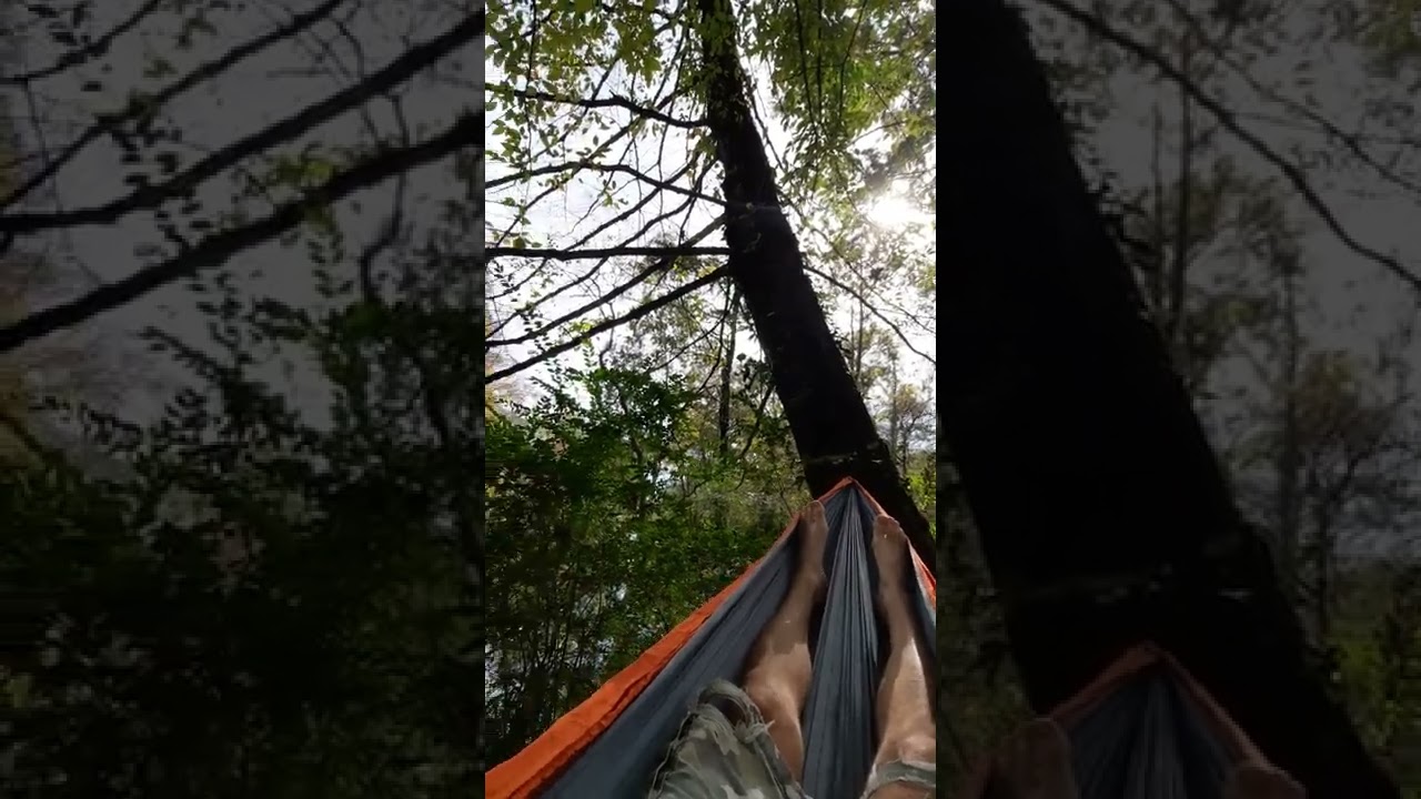 hammock/river therapy! 